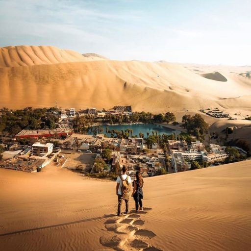 WhatsApp Image 2020-01-24 at 21.17.21 (3)